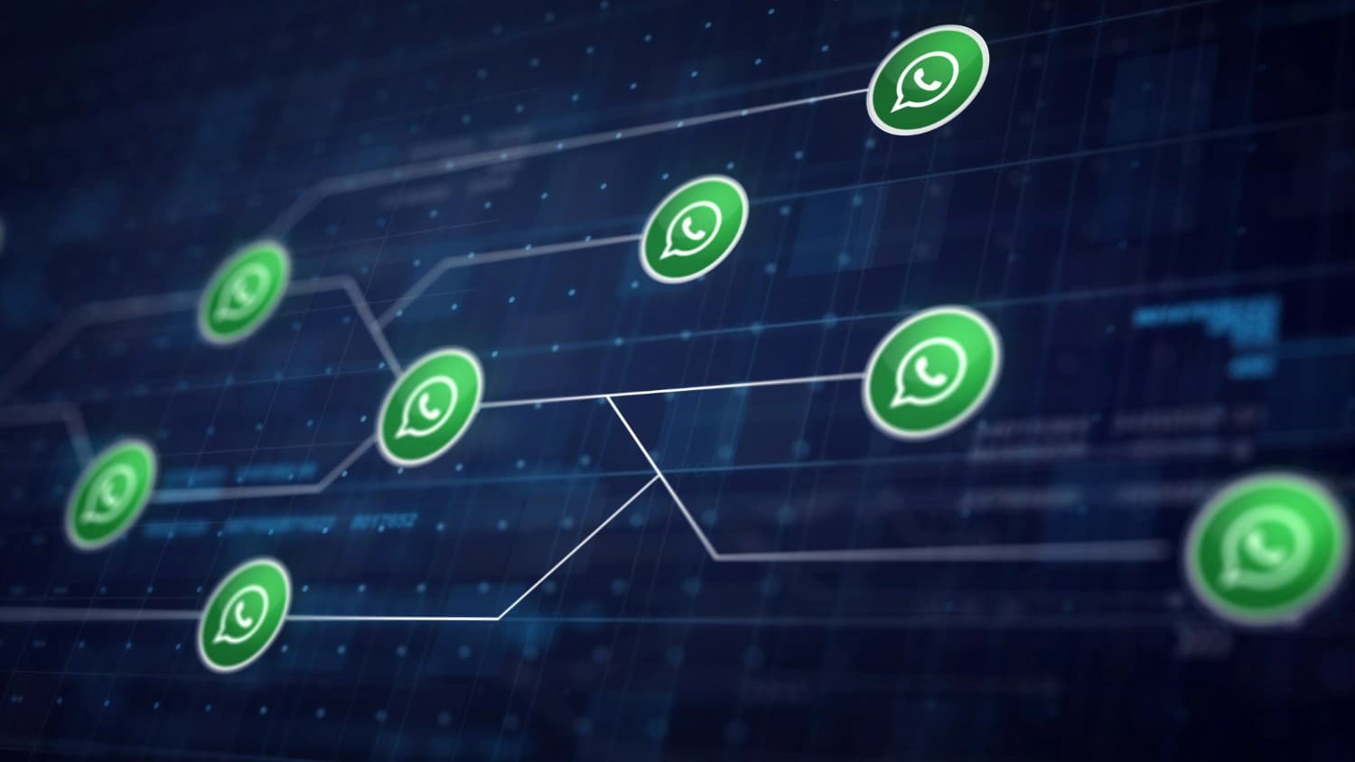 WhatsApp API untuk Customer Service Skala Besar